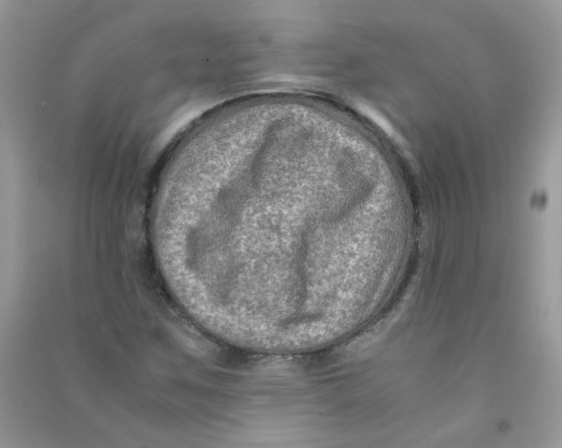 X0000090761259200708172040