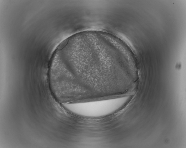 X0000090761260200708172040