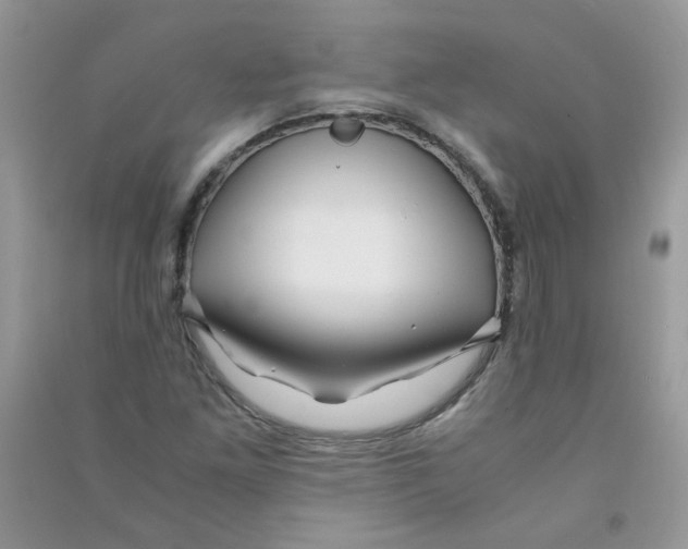 X0000090761261200708172040