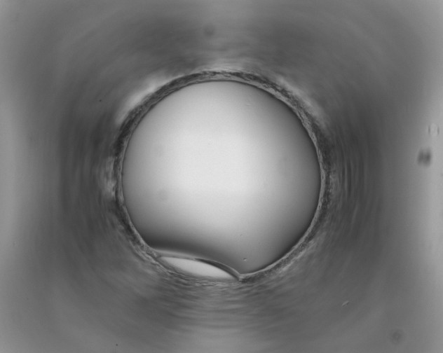 X0000090761262200708172040