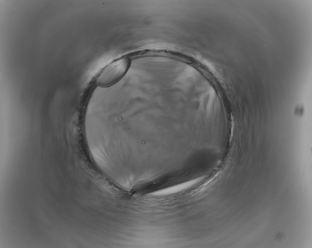 X0000090761263200708172040