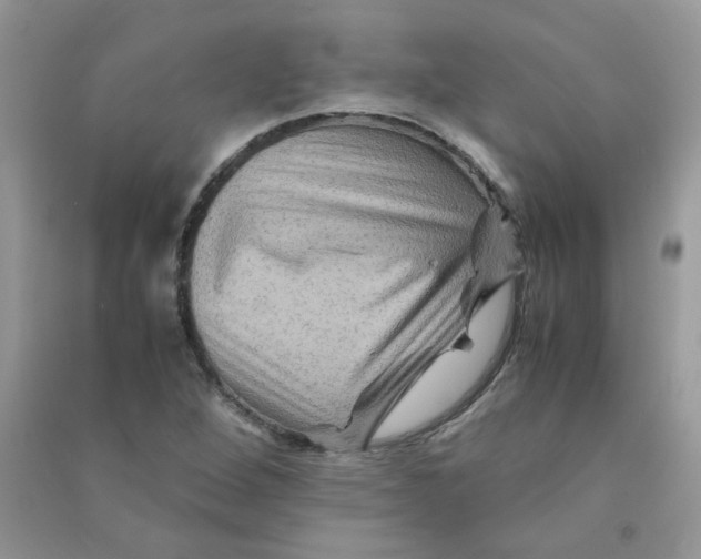 X0000090761264200708172040