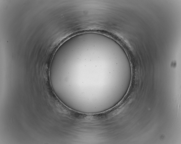 X0000090761265200708172040