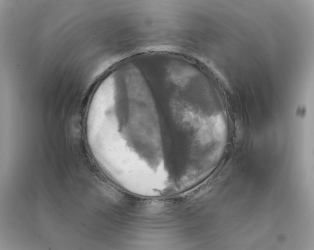 X0000090761266200708172040