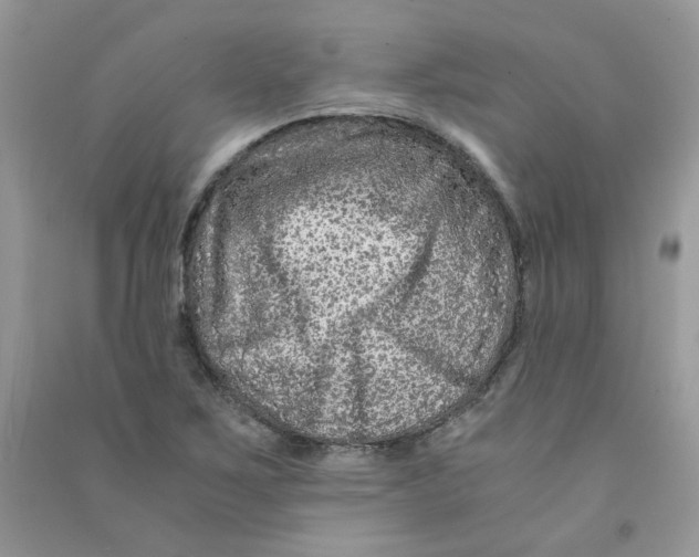 X0000090761267200708172040