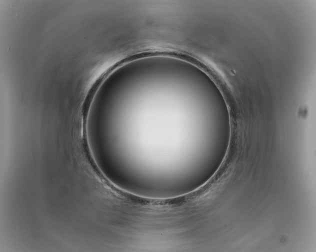 X0000090761269200708172040