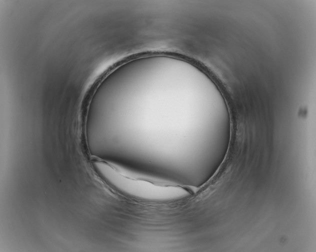 X0000090761270200708172040