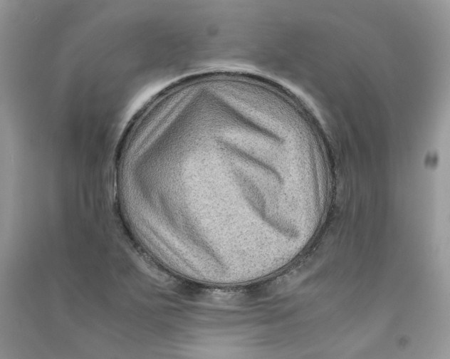 X0000090761271200708172040