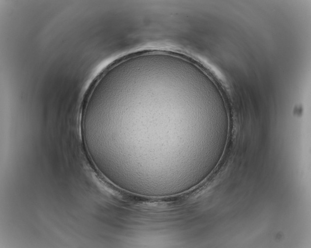 X0000090761272200708172040