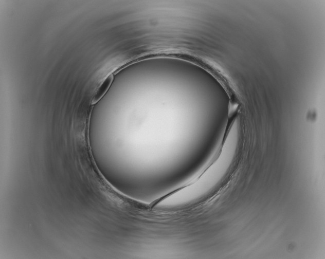 X0000090761273200708172040