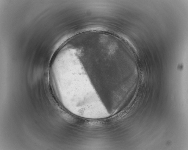 X0000090761274200708172040