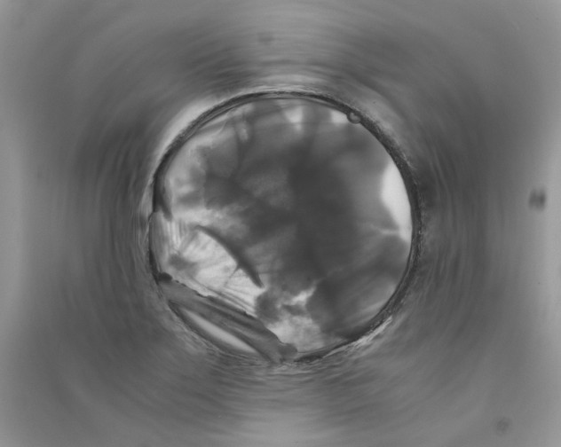 X0000090761275200708172040