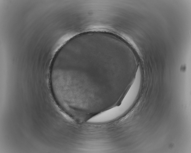 X0000090761277200708172040