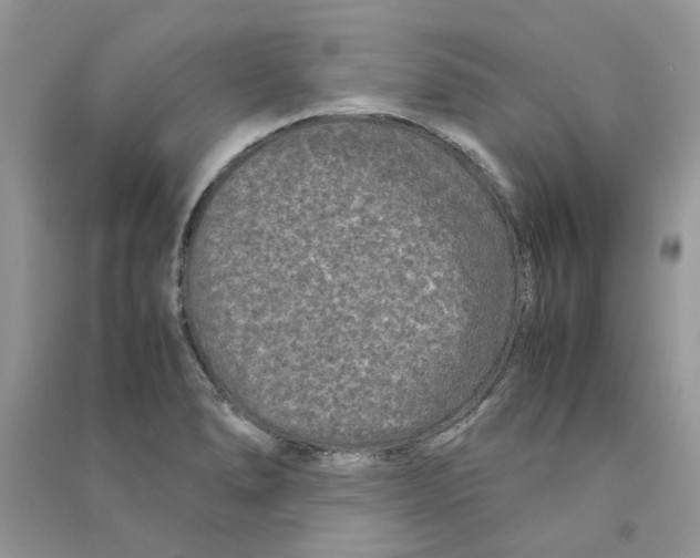 X0000090761278200708172040