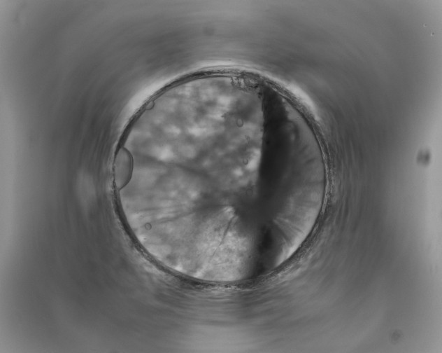 X0000090761279200708172040