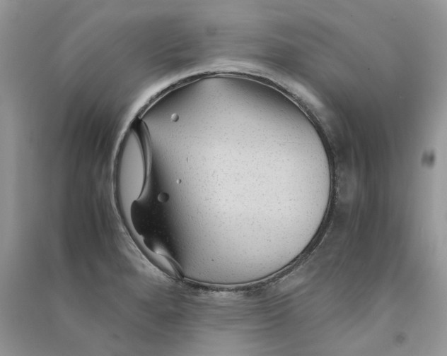 X0000090761280200708172040