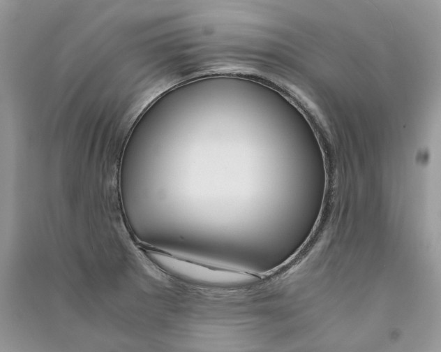 X0000090761281200708172040