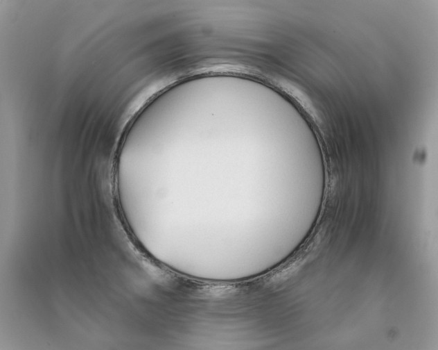 X0000090761282200708172040