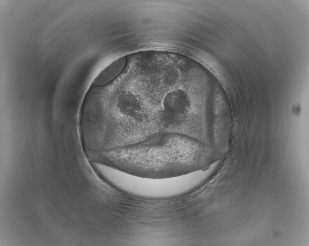 X0000090761283200708172040