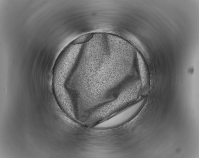 X0000090761284200708172040