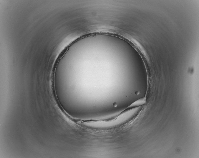 X0000090761285200708172040