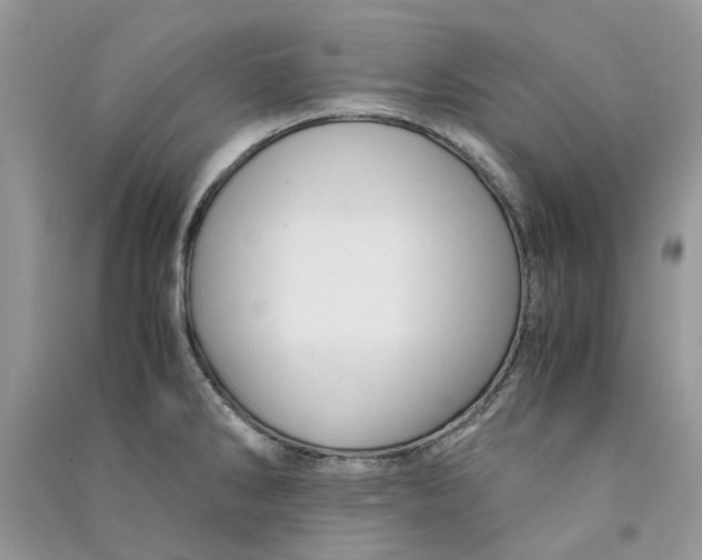 X0000090761286200708172040