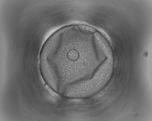 X0000090761287200708172040