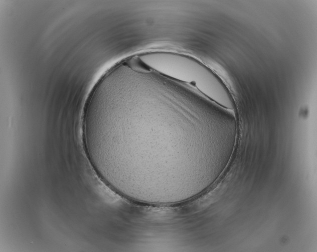 X0000090761288200708172040