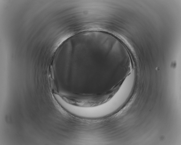 X0000090761289200708172040