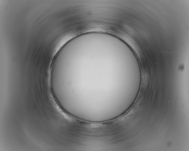 X0000090761290200708172040