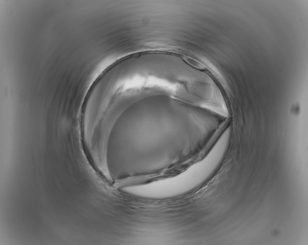 X0000090761291200708172040