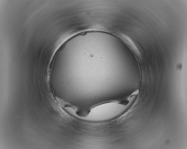 X0000090761292200708172040