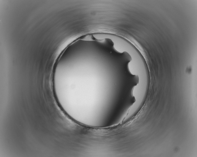 X0000090761293200708172040