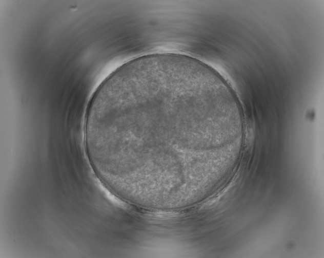 X0000090761294200708172040