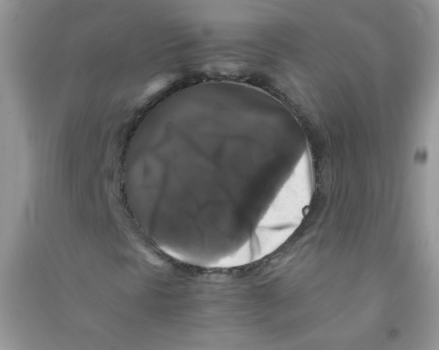 X0000090761297200708172039