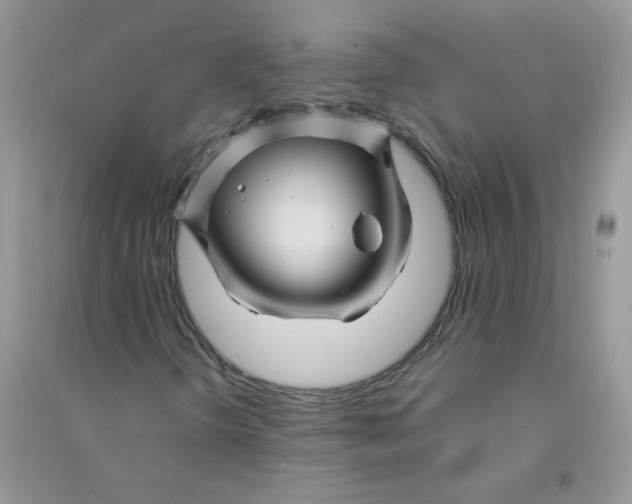 X0000090761298200708172039