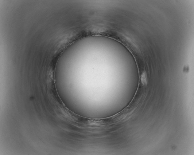 X0000090761299200708172039