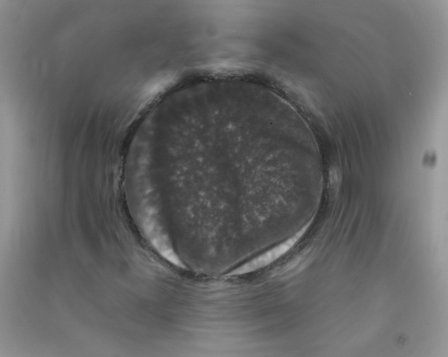 X0000090761300200708172039