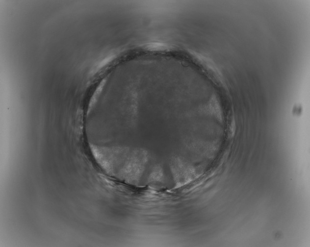 X0000090761301200708172039