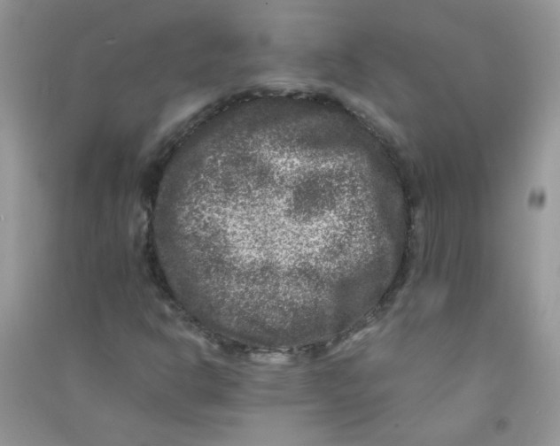 X0000090761302200708172039