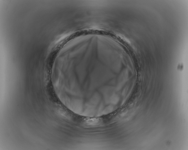 X0000090761303200708172039