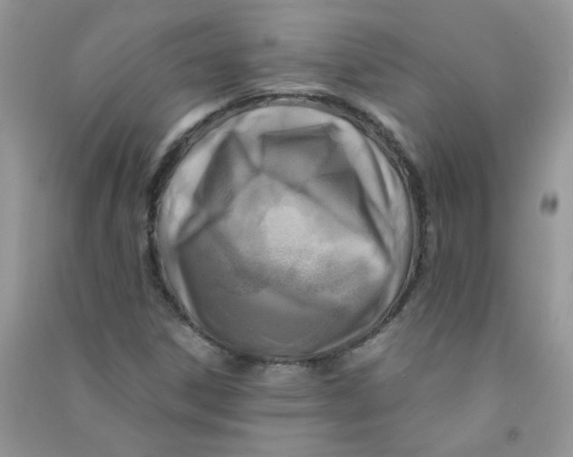 X0000090761306200708172039