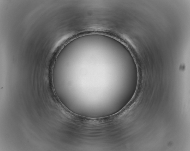 X0000090761307200708172039