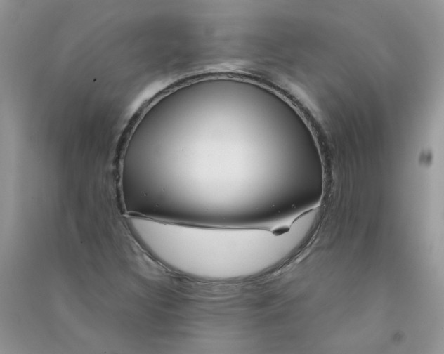 X0000090761308200708172039