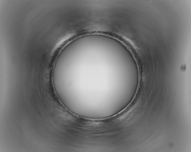 X0000090761309200708172039