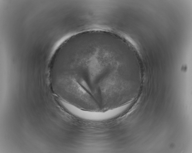 X0000090761310200708172039