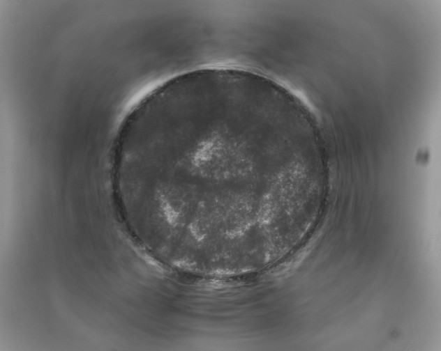 X0000090761311200708172039