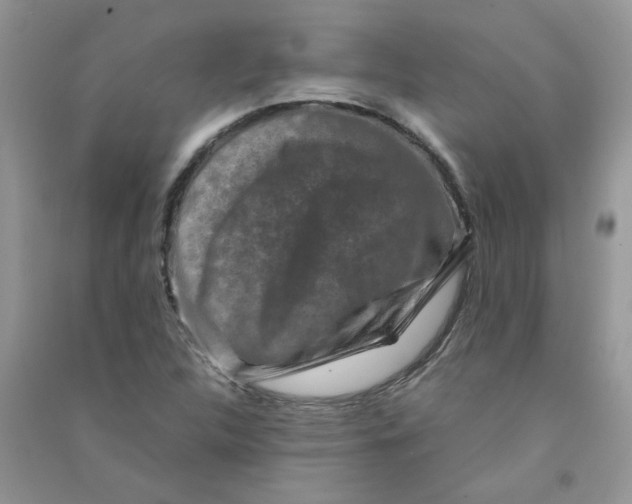 X0000090761312200708172039