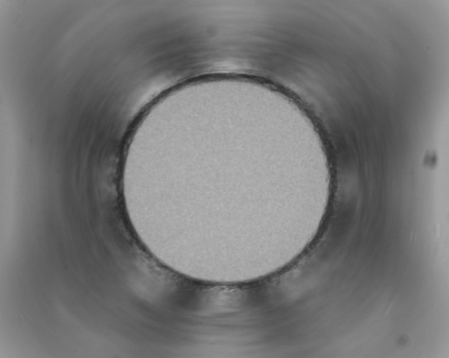 X0000090761314200708172039