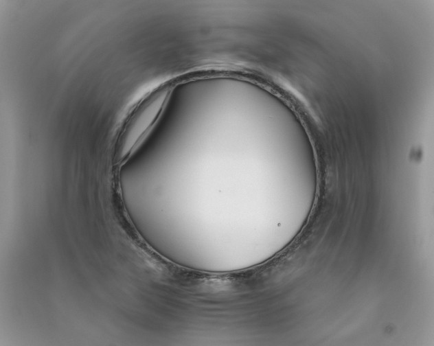 X0000090761315200708172039